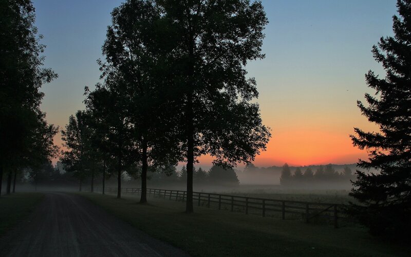 Dirt Road at Sunrise — Orange