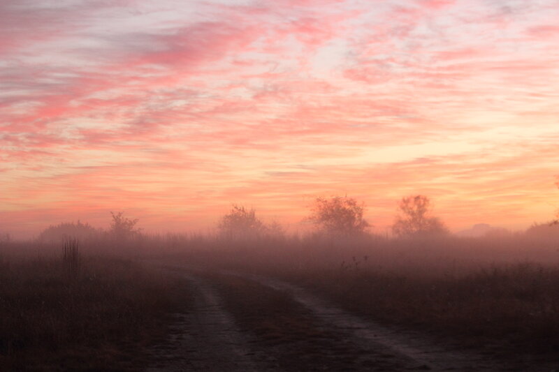 Dirt Road at Sunrise — Pink