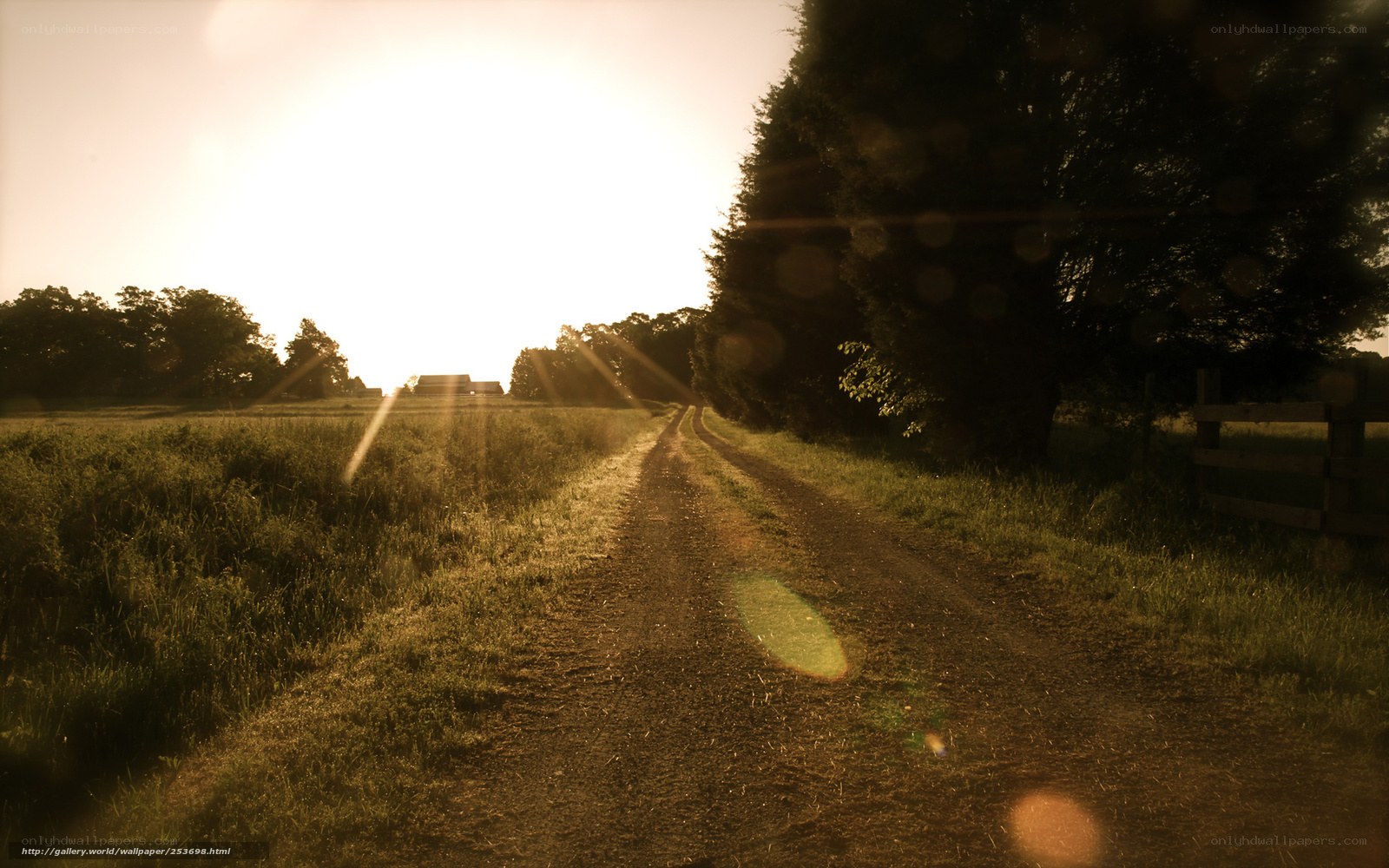 Dirt road at sunrise