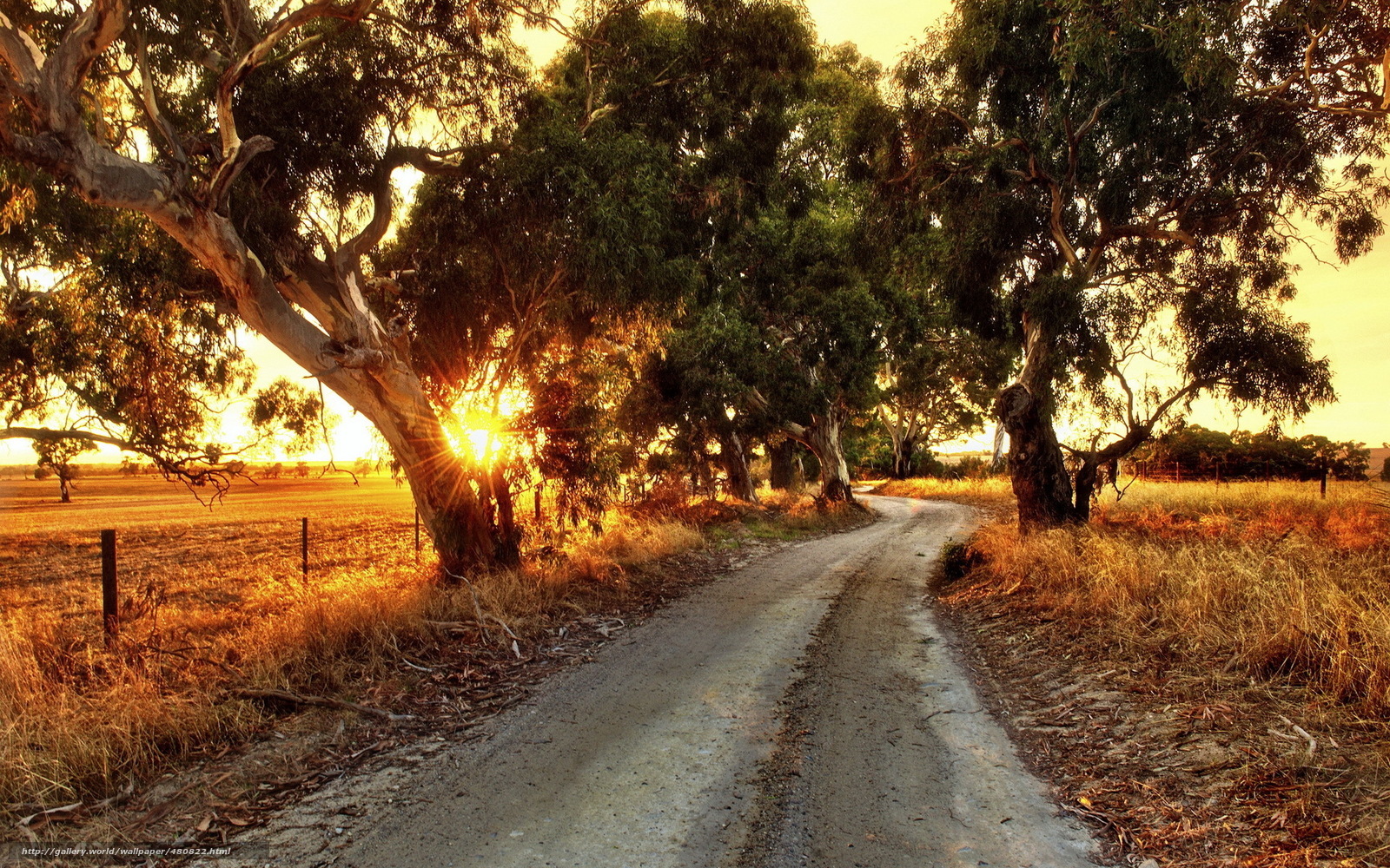 Dirt road at sunset