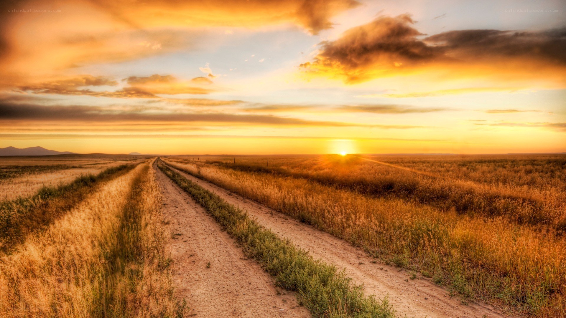 Dirt road at sunset