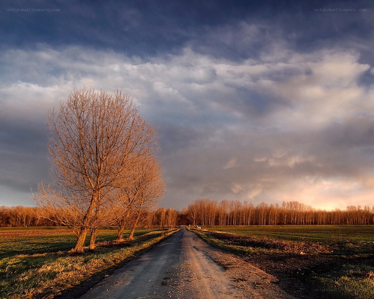 Dirt road at sunset