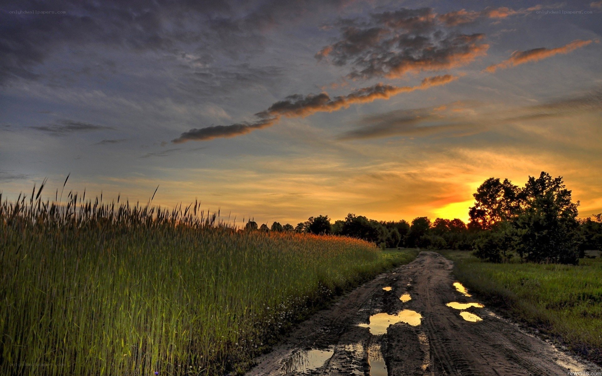 Dirt road at sunset
