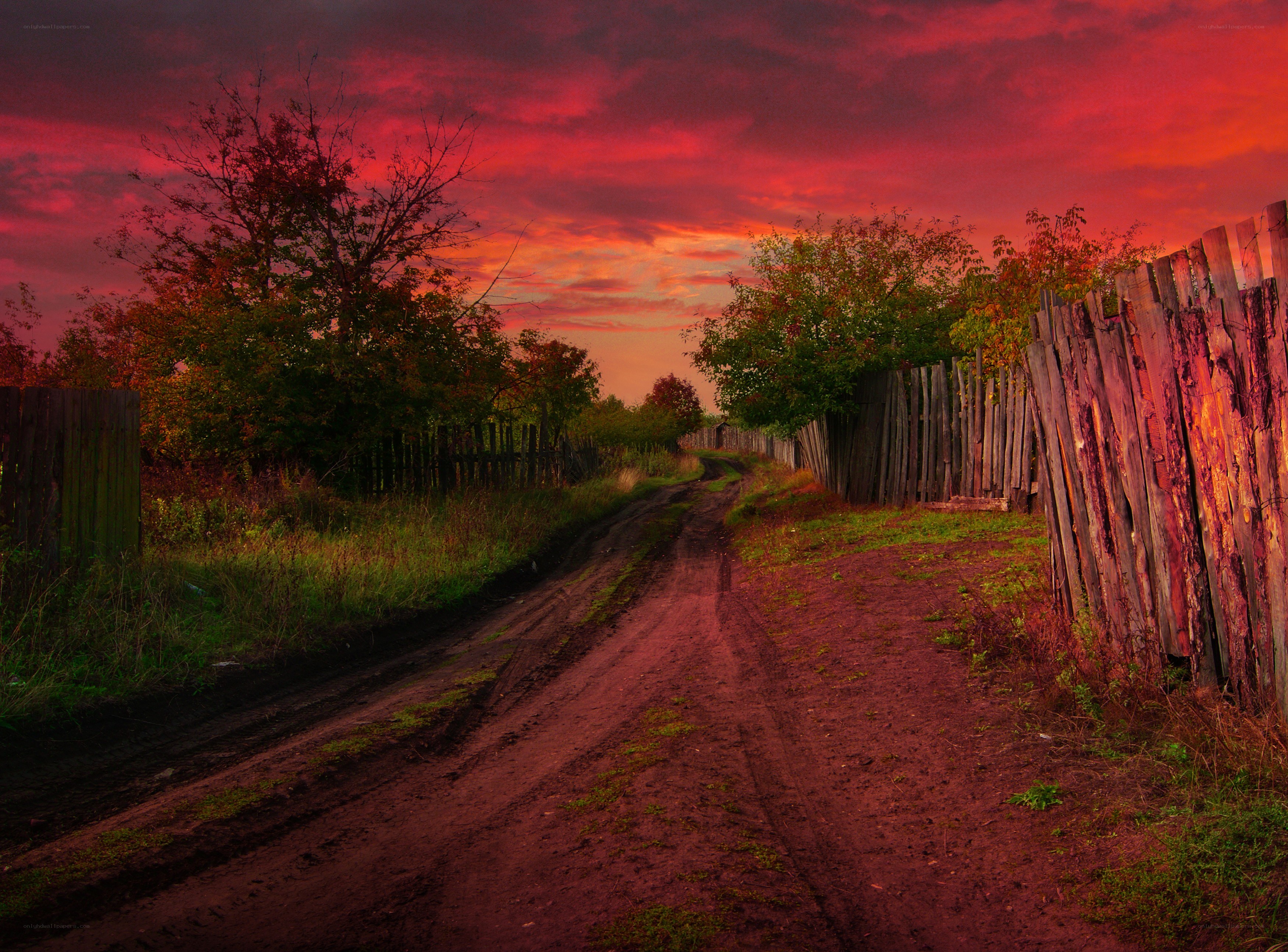Dirt road at sunset