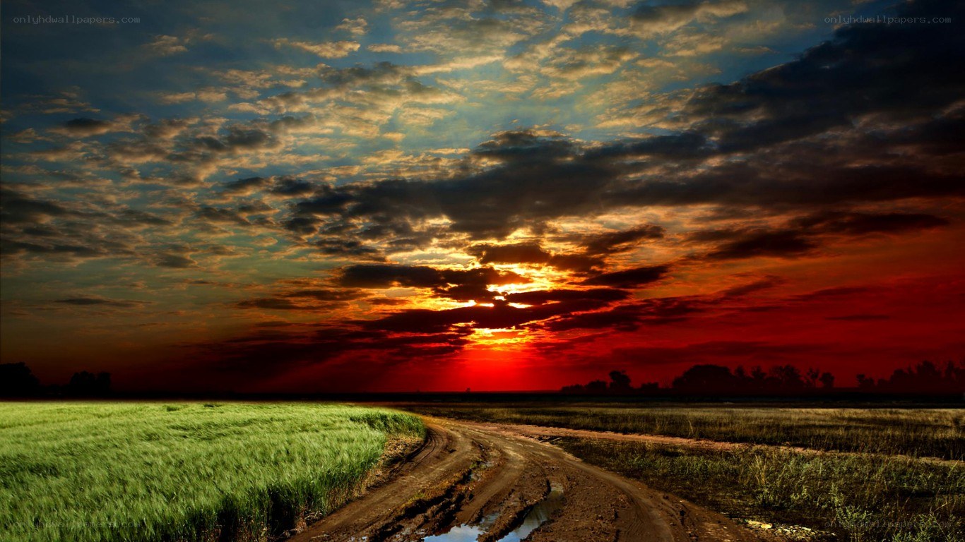 Dirt road at sunset