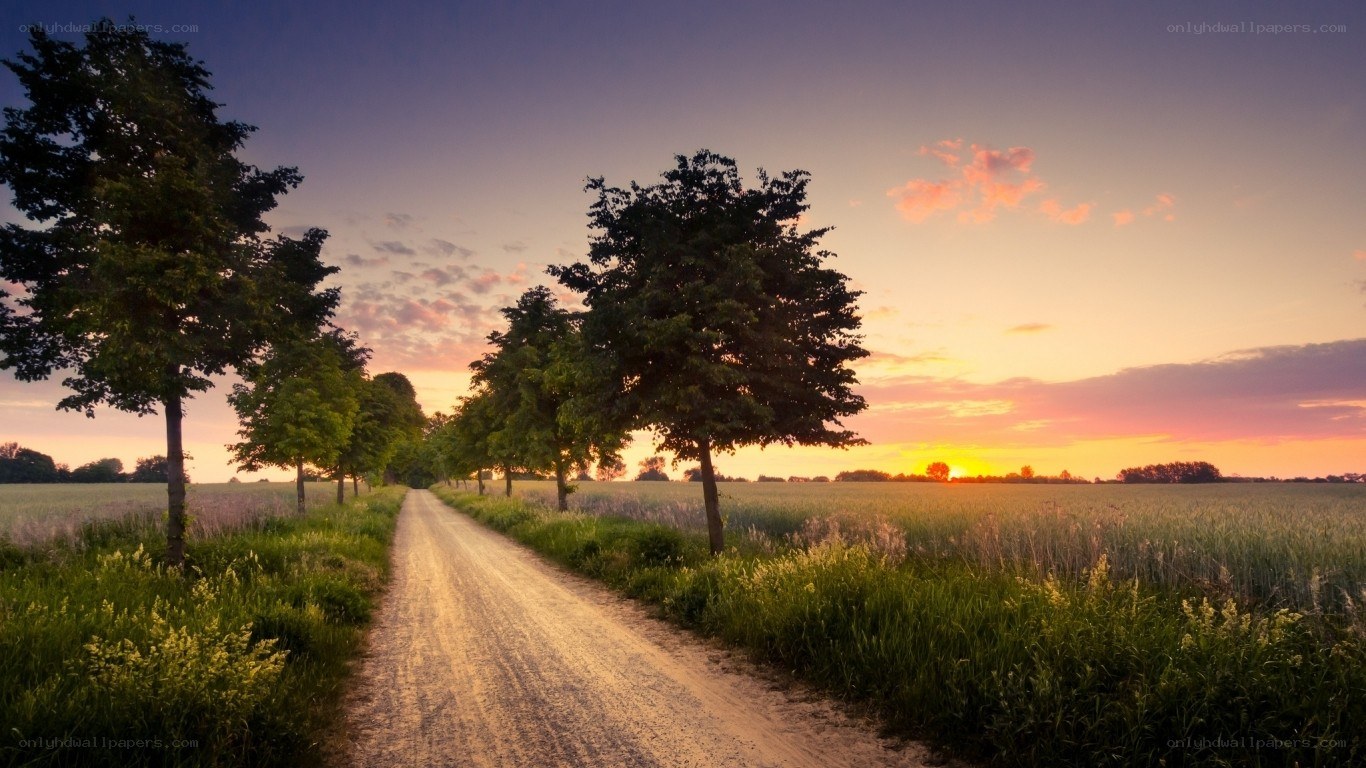 Dirt road at sunset