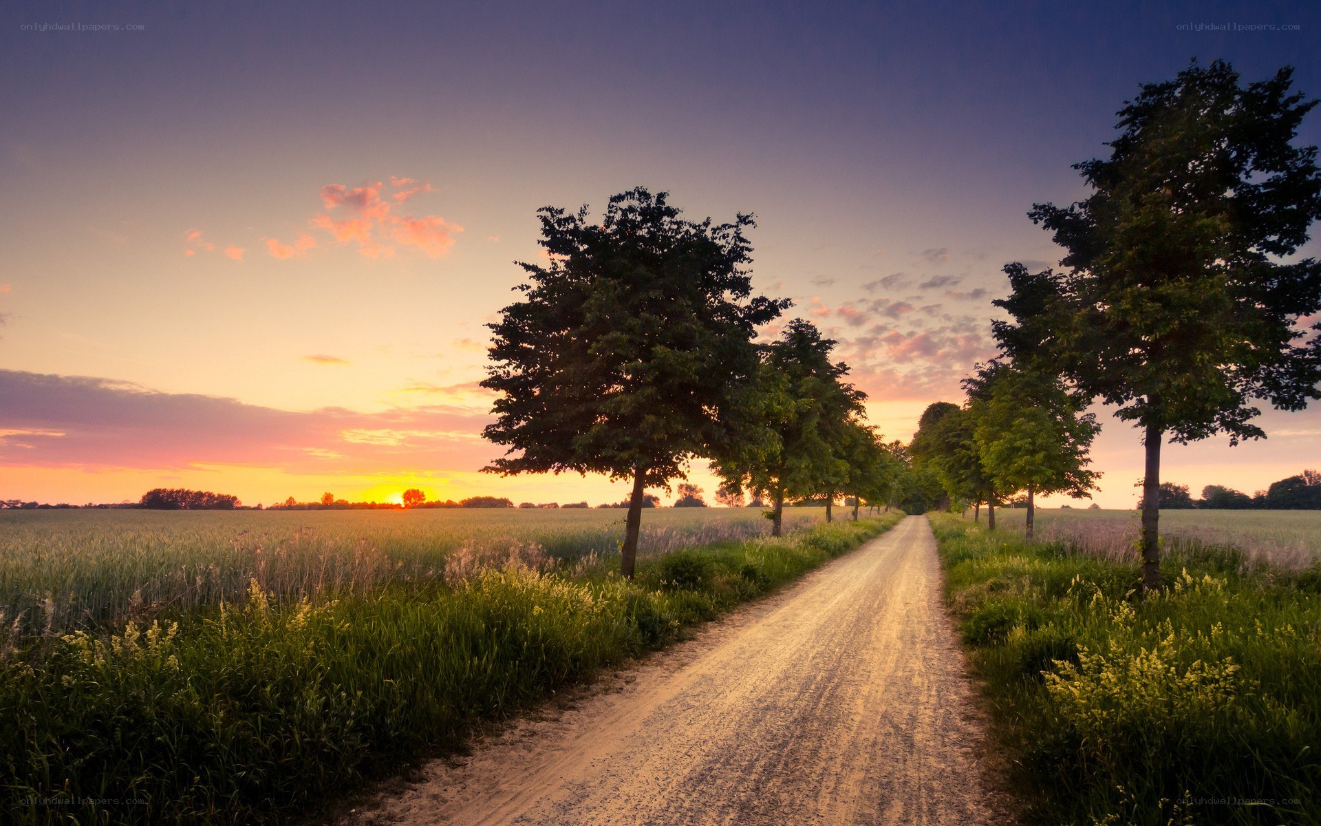 Dirt road at sunset