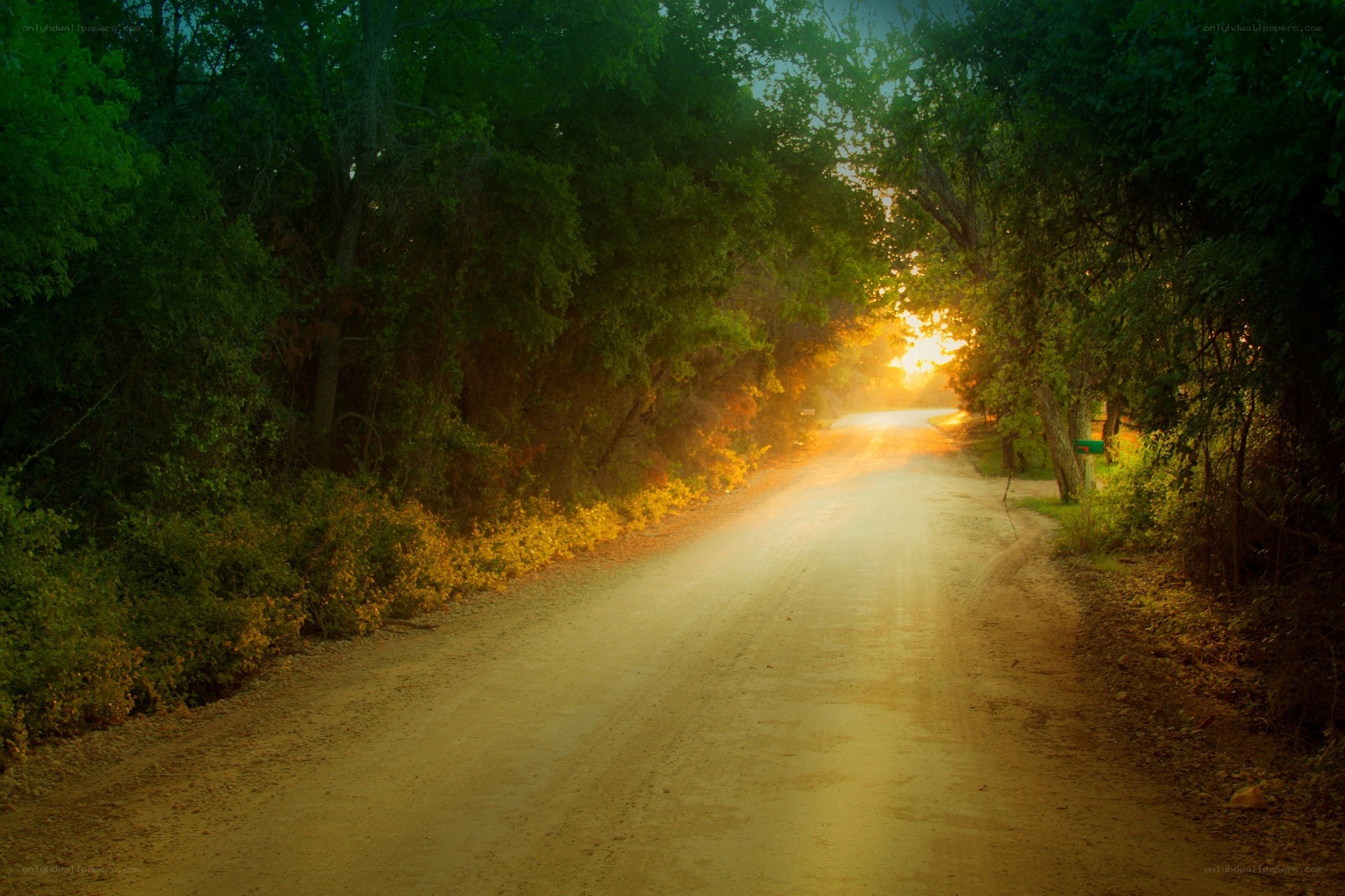 Dirt road at sunset