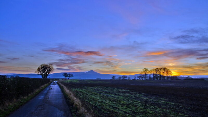 Dirt Road at Sunset — Blue, Serene