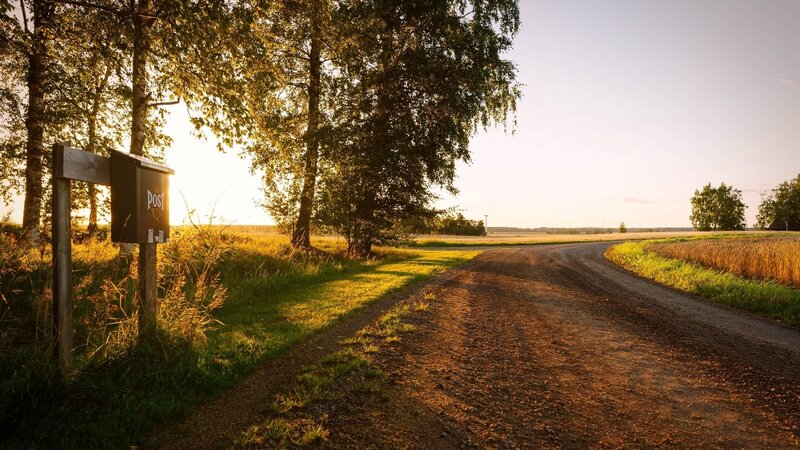 Dirt Road at Sunset — Brown, Serene
