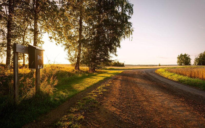 Dirt Road at Sunset — Brown