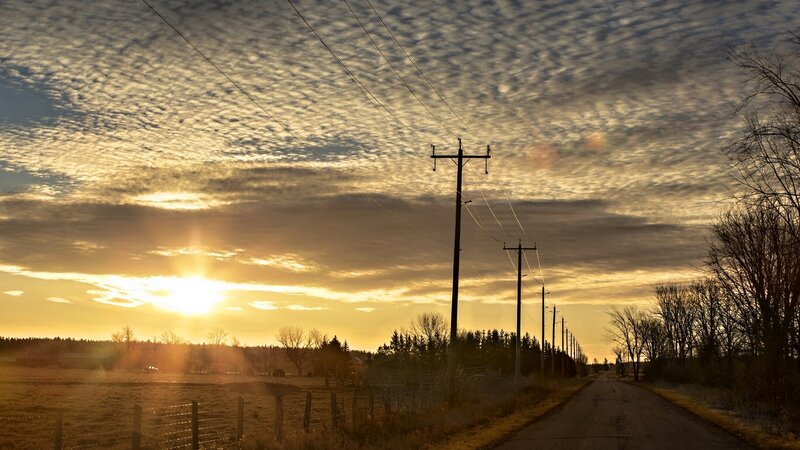 Dirt Road at Sunset — Gold, Serene