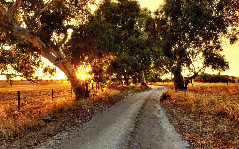 Dirt Road at Sunset — Golden