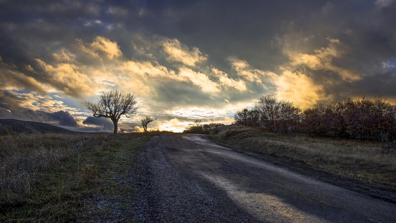 Dirt Road at Sunset — Gray