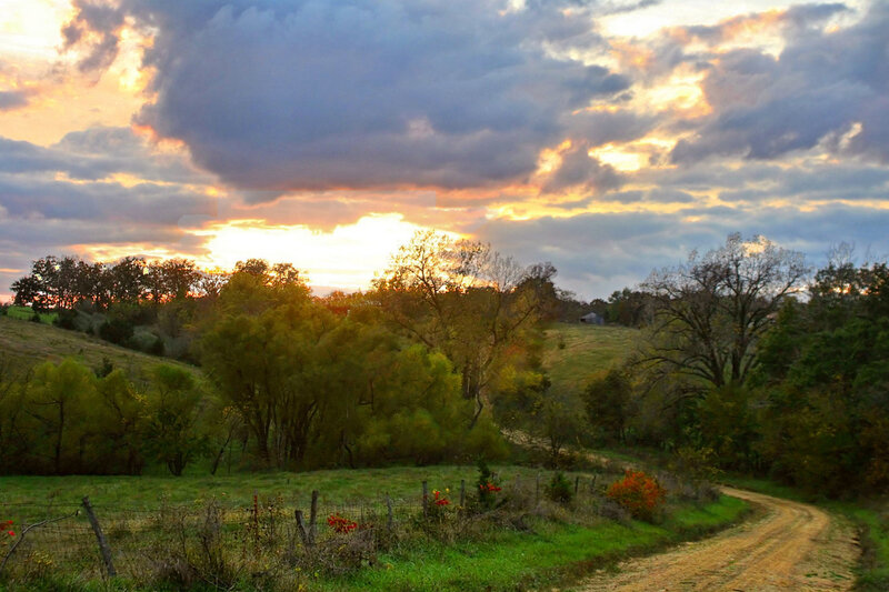 Dirt road at sunset in the countryside
