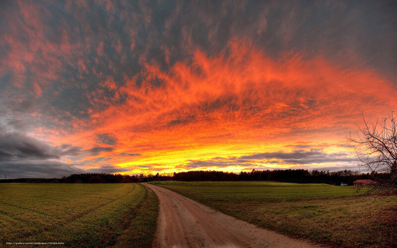Dirt Road at Sunset — Orange, Dramatic, Photograph, Field