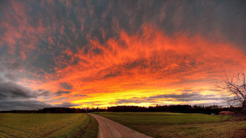 Dirt Road at Sunset — Orange, Dramatic, Photograph, Field, Trees, Sky