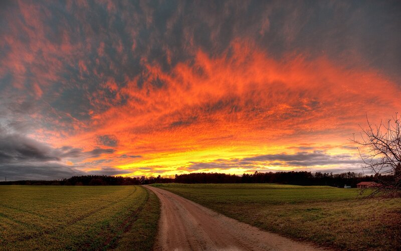 Dirt Road at Sunset — Orange, Dramatic, Photograph, Field, Trees