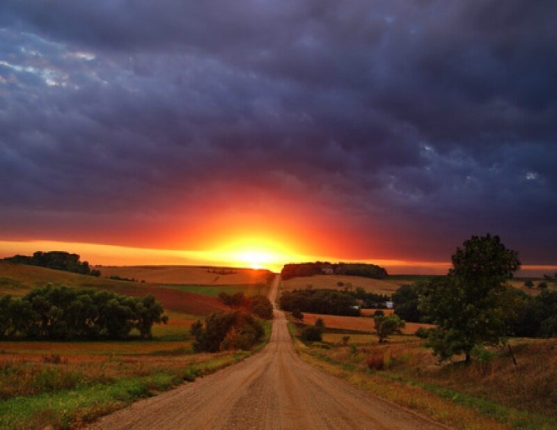 Dirt Road at Sunset — Orange, Dramatic, Photograph, Sky, Trees