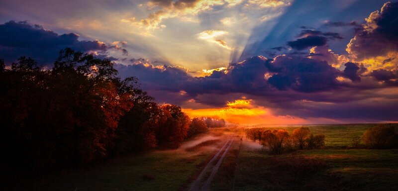 Dirt Road at Sunset — Orange, Dramatic, Photograph, Trees, Clouds