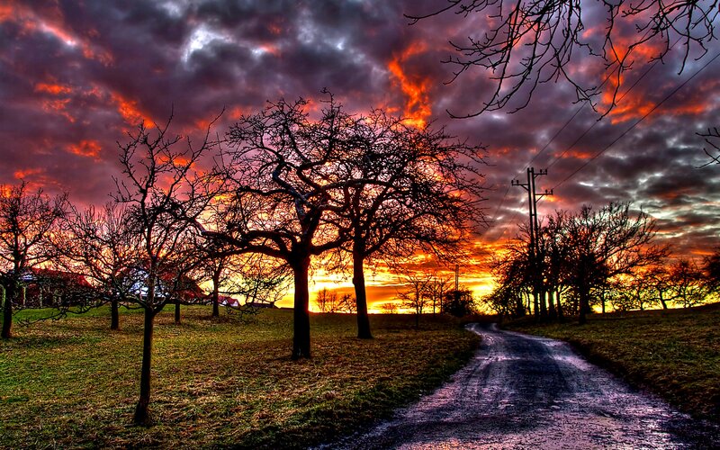 Dirt Road at Sunset — Orange, Dramatic, Photograph, Trees