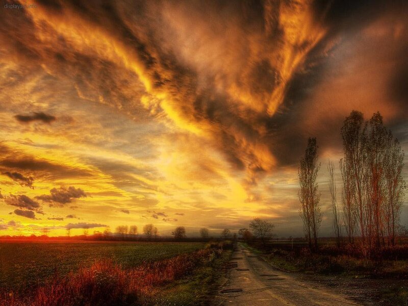 Dirt Road at Sunset — Orange, Dramatic