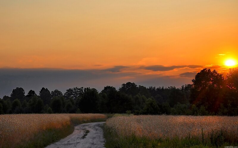 Dirt Road at Sunset — Orange, Serene, Photograph, Field, Trees, Sun
