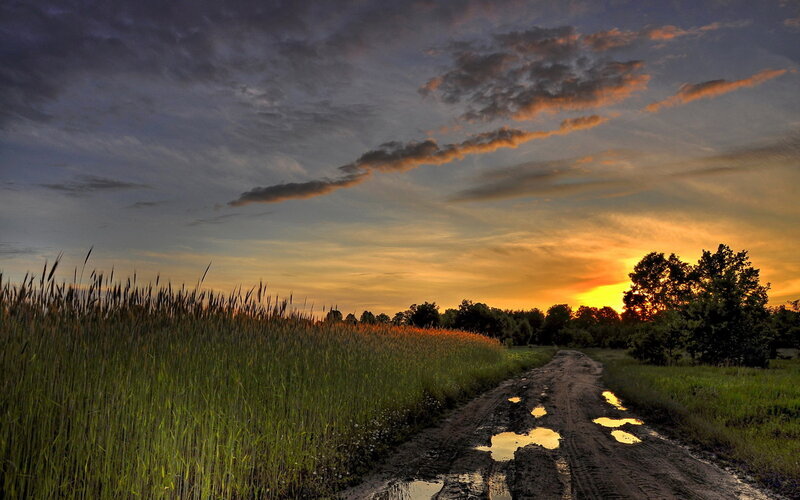 Dirt Road at Sunset — Orange, Serene, Photograph