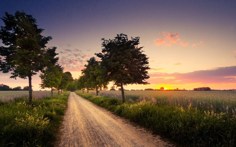 Dirt Road at Sunset — Orange, Serene, Photograph, Trees, Field, Sky