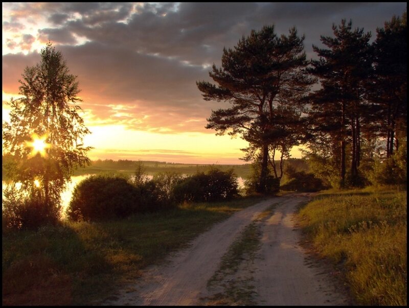 Dirt Road at Sunset — Orange, Serene