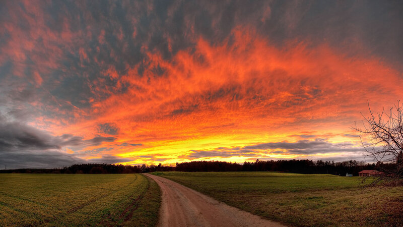 Dirt Road at Sunset — Orange