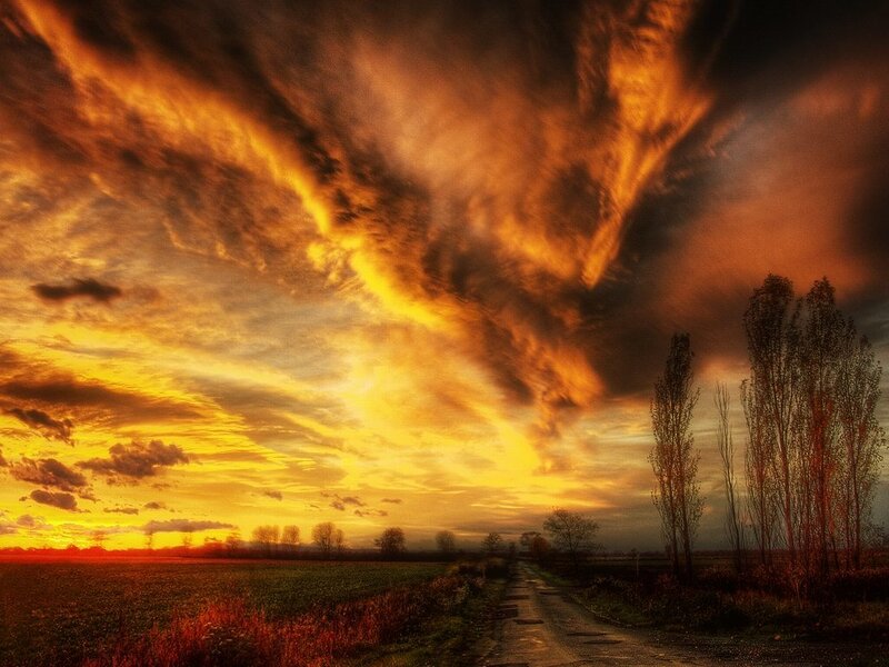 Dirt Road at Sunset — Trees