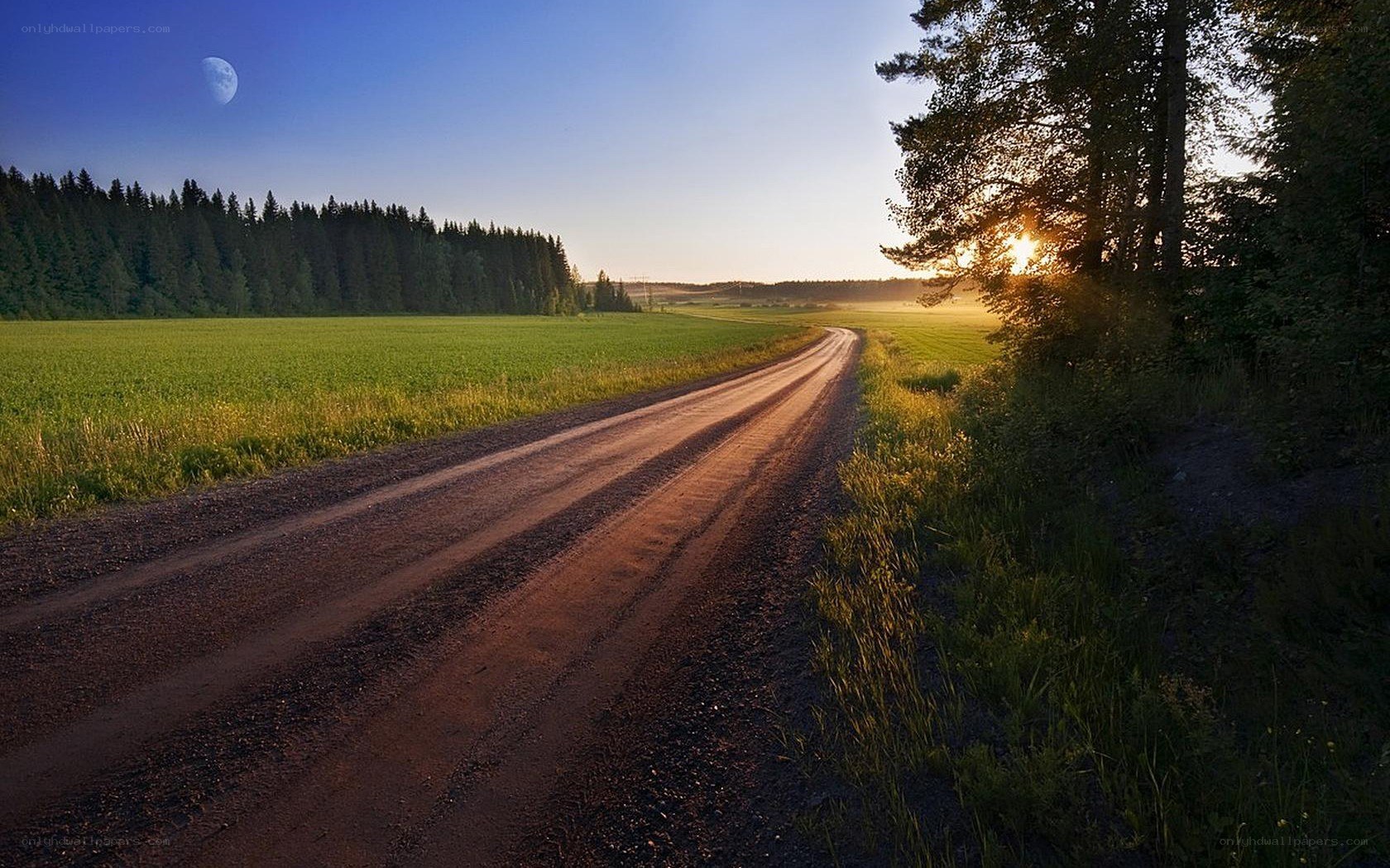 Dirt road at sunset with moon
