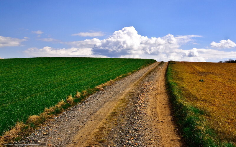 Dirt Road Between Fields