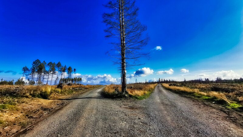 Dirt Road Fork — Blue, Open