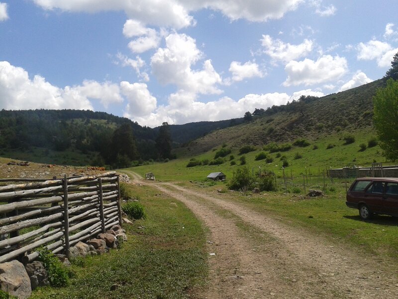 Dirt road in a green valley
