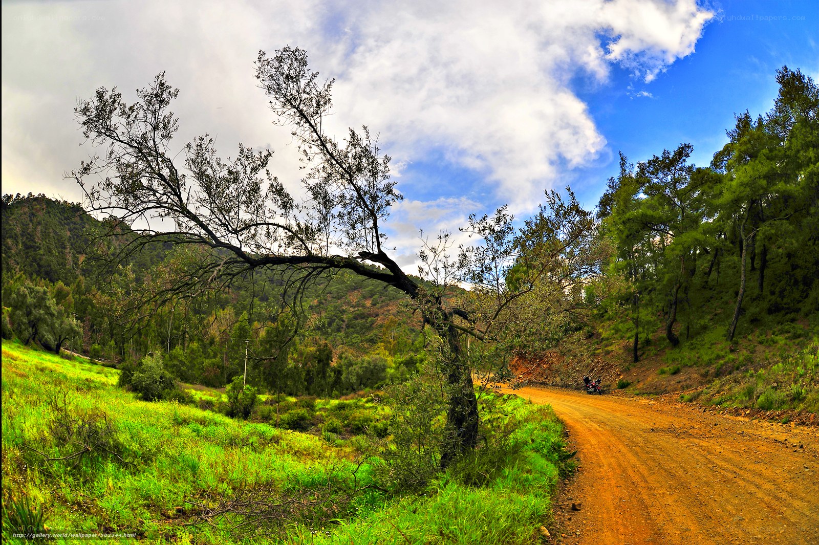 Dirt road in a green valley