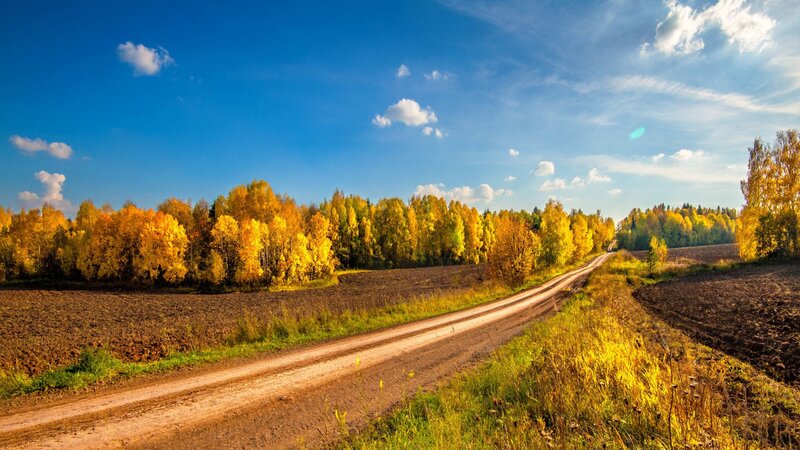Dirt Road in Autumn — Blue, Serene