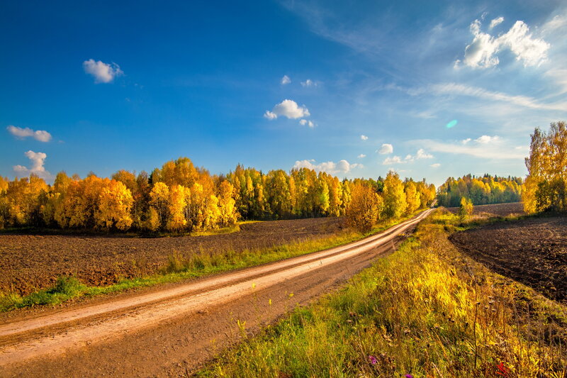 Dirt Road in Autumn — Blue