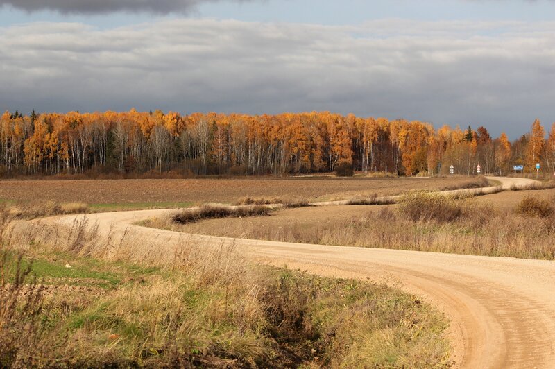 Dirt Road in Autumn — Brown, Serene