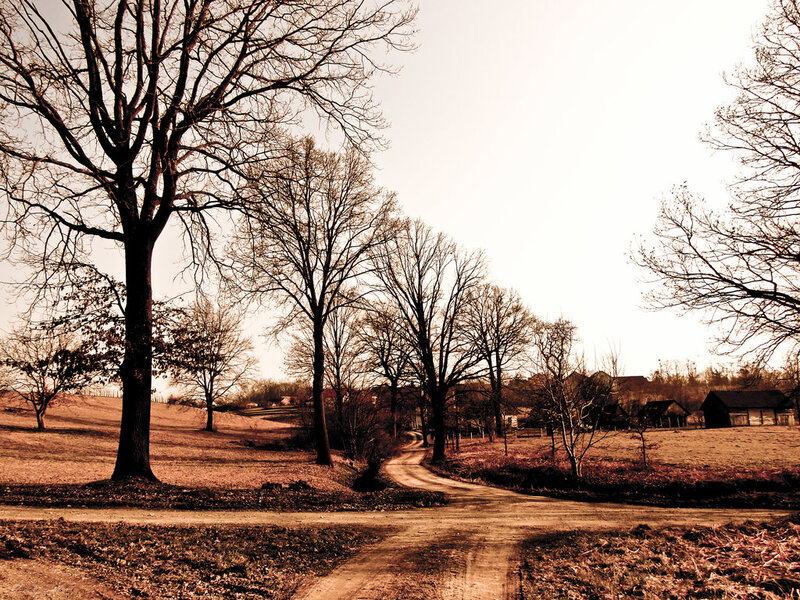 Dirt Road in Autumn — Brown