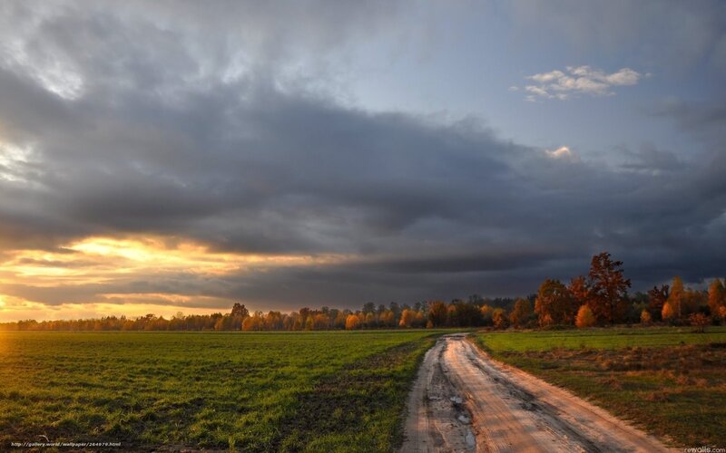 Dirt Road in Autumn Field — Green