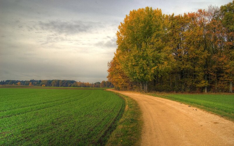 Dirt Road in Autumn — Green, Serene