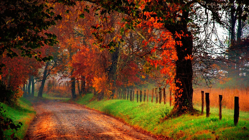Dirt Road in Autumn — Orange, Serene