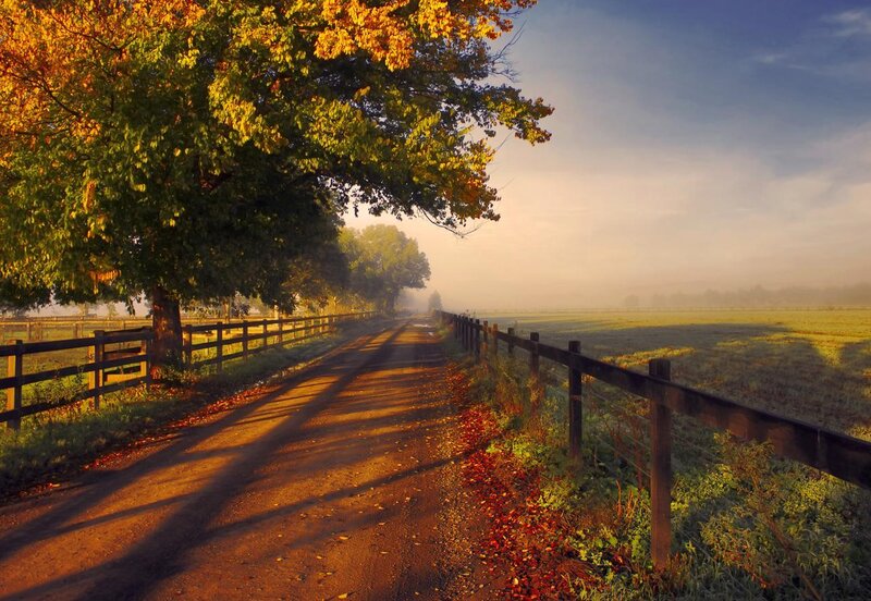 Dirt Road in Autumn — Orange