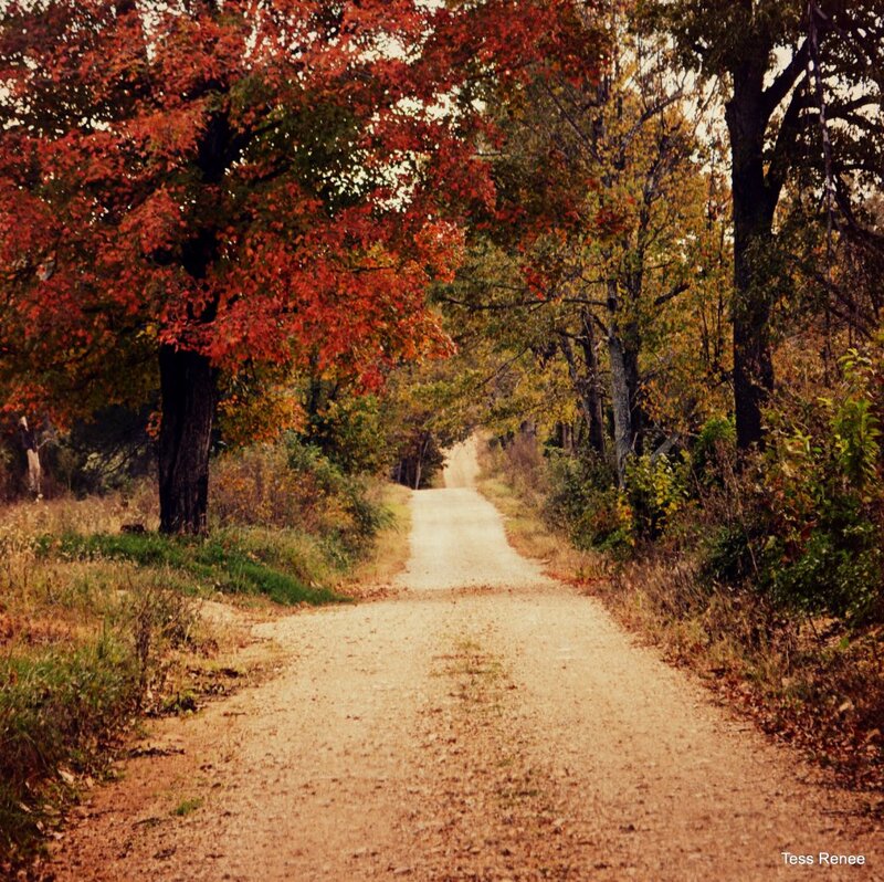 Dirt Road in Autumn — Red, Serene