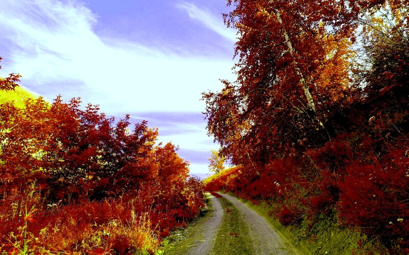 Dirt Road in Autumn — Red