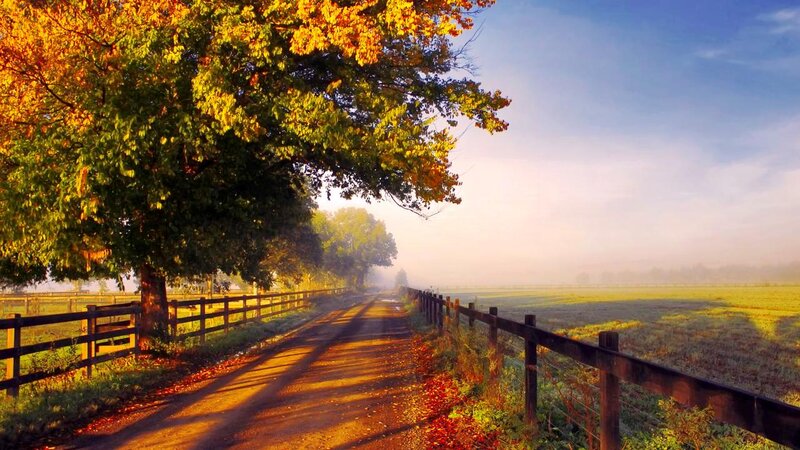 Dirt Road in Autumn — Yellow, Serene, Morning
