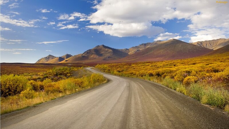 Dirt Road in Autumn — Yellow, Serene
