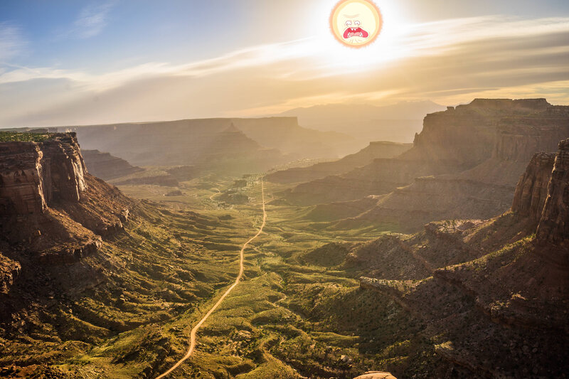 Dirt Road in Canyon — Brown